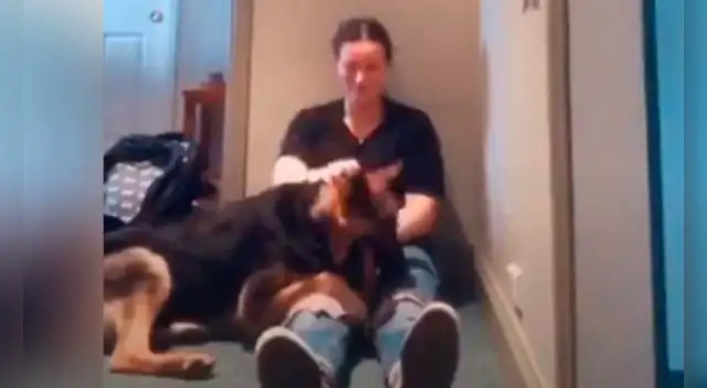 La emotiva acción del perro con su dueña fue compartida en TikTok. La emotiva acción del perro con su dueña fue compartida en TikTok.