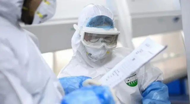 El equipo de científicos se encuentra muy entusiasmado con la labor.