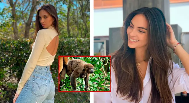 Natalie Vértiz pide ayuda para animales rescatados. Natalie Vértiz pide ayuda para animales rescatados.