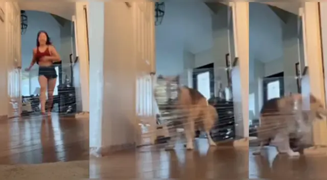 El gracioso video causó sensación en las redes sociales. El gracioso video causó sensación en las redes sociales.