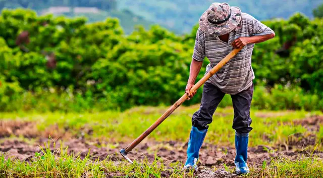 En este momento solo se atiende a menos del 2% del total de los agricultores y hay más de 7.500.000 hectáreas agrícolas en riesgo de afectarse.