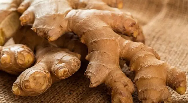 Los envíos de este producto se incrementaron un 137% tan solo en abril de este año. Los envíos de este producto se incrementaron un 137% tan solo en abril de este año.