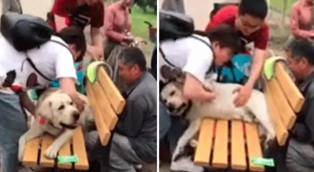 El rescate del perrito son sobrepeso se convirtió en viral. El rescate del perrito son sobrepeso se convirtió en viral.