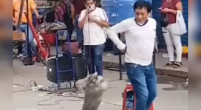 El tierna escena se volvió viral en las redes sociales. El tierna escena se volvió viral en las redes sociales.