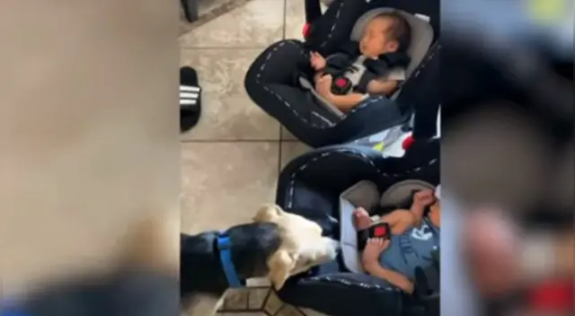 El emotivo video causó furor en las redes sociales. El emotivo video causó furor en las redes sociales.