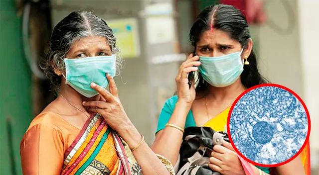 OMS: Virus de Nipah, la nueva enfermedad que azota la India y ha cobrado la vida de casi todas sus víctimas
