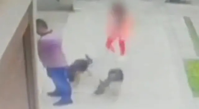 Delincuente apunta con arma a padre e hija en San Borja.