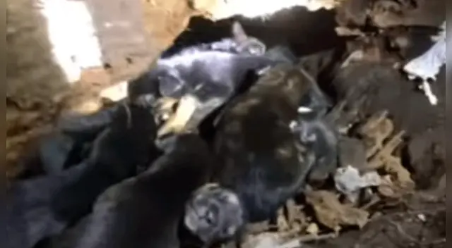 El conmovedor hecho se volvió viral en las redes sociales.