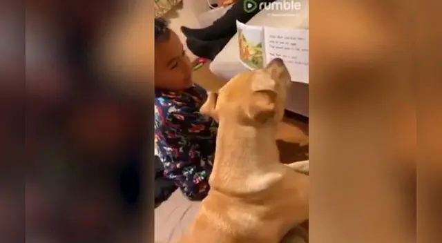 El divertido video ha causado furor en las redes sociales. El divertido video ha causado furor en las redes sociales.