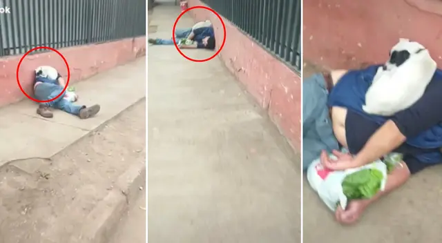 El perrito durmió plácidamente sobre el hombre.
