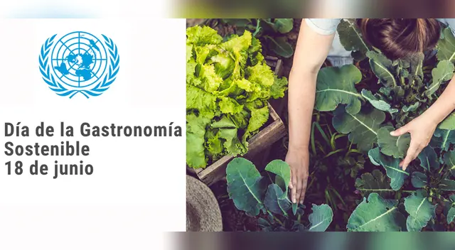 La Organización de la Naciones Unidas (ONU) declaró el 18 de junio como el Día de la Gastronomía Sostenible.