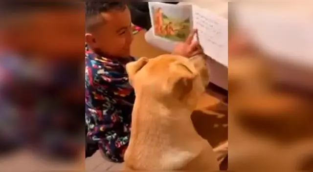 En redes sociales, se hizo viral la inocencia de un pequeño por intentar enseñarle a su cachorro a leer un cuento durante la cuarentena. En redes sociales, se hizo viral la inocencia de un pequeño por intentar enseñarle a su cachorro a leer un cuento durante la cuarentena.