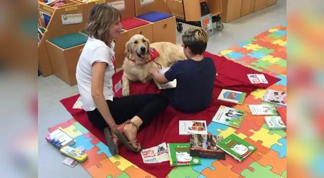 Pequeño le enseña a leer a su mascota y causa ternura en redes sociales. Pequeño le enseña a leer a su mascota y causa ternura en redes sociales.