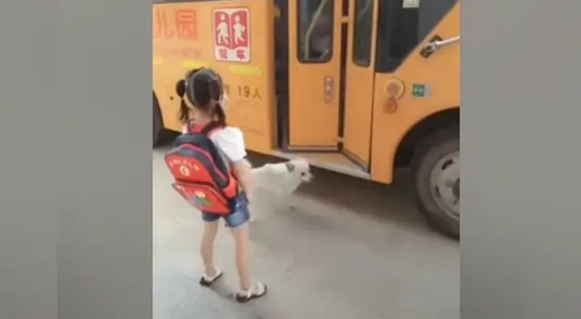 La acción del can con su pequeña dueña ha logrado enternecer a miles de usuarios en las redes sociales.