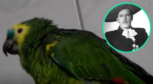 Loro sorprende a todos al cantar ‘Cielito lindo’ de Pedro Infante Loro sorprende a todos al cantar ‘Cielito lindo’ de Pedro Infante