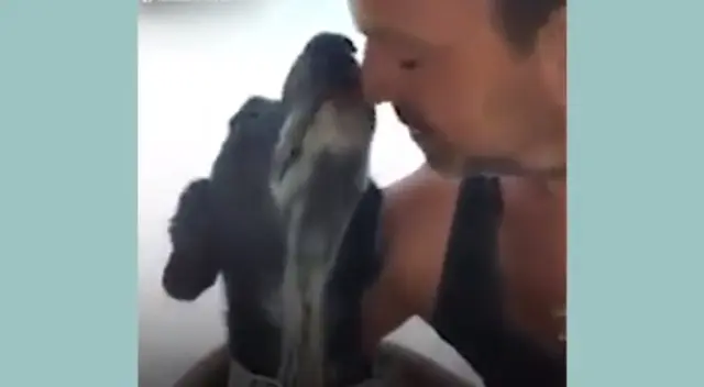 Fenix tardó dos meses en recuperarse de sus heridas.