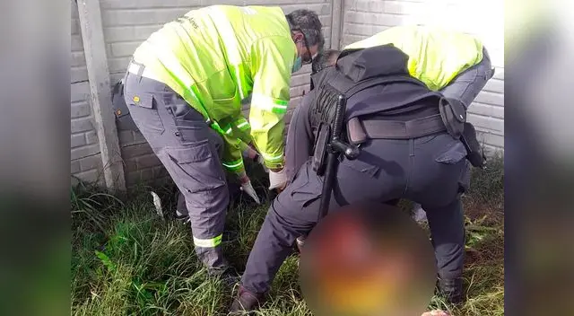 Ladrón Argentina. Ladrón Argentina.