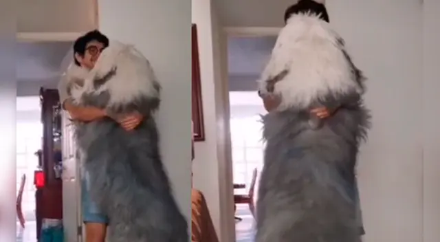 El curioso video desató la risa de los internautas en las redes sociales. El curioso video desató la risa de los internautas en las redes sociales.