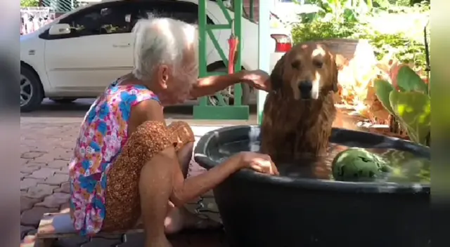 El tierno video se robó el corazón de miles de usuarios en las redes sociales. El tierno video se robó el corazón de miles de usuarios en las redes sociales.