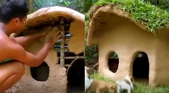 El joven les construyó una mansión a los perritos sin hogar El joven les construyó una mansión a los perritos sin hogar