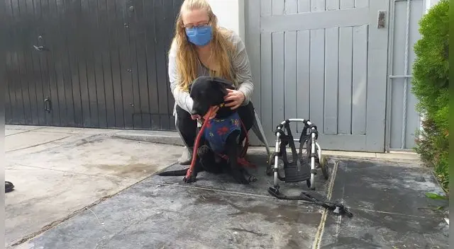 Mujer denunció en municipio Mujer denunció en municipio