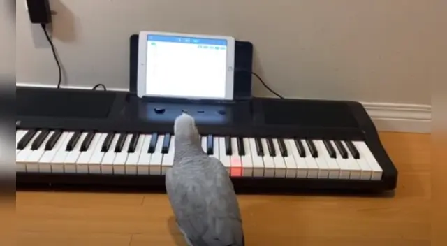 La tierna escena cautivó a los usuarios en las redes sociales.