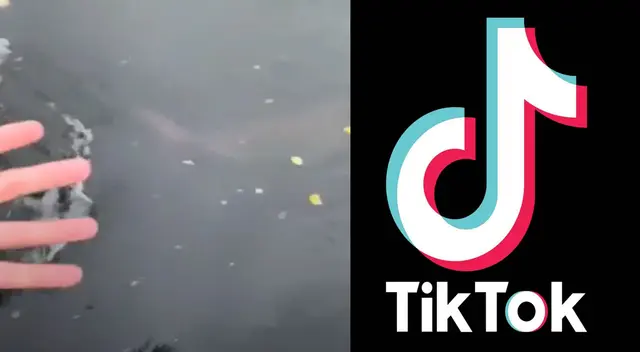 Video en TikTok es uno de los más vistos en lo que va de la cuarentena.
