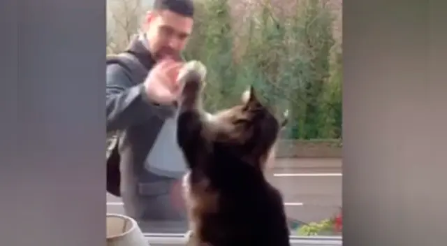 La tierna escena cautivó a los usuarios en las redes sociales.