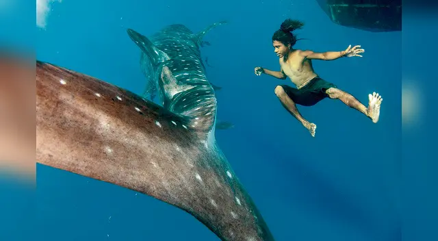 Hombre salva de morir tras nadar con tiburones por 4 horas Hombre salva de morir tras nadar con tiburones por 4 horas