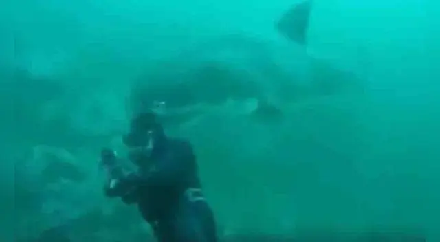 Hombre salva de morir tras nadar con tiburones por 4 horas Hombre salva de morir tras nadar con tiburones por 4 horas