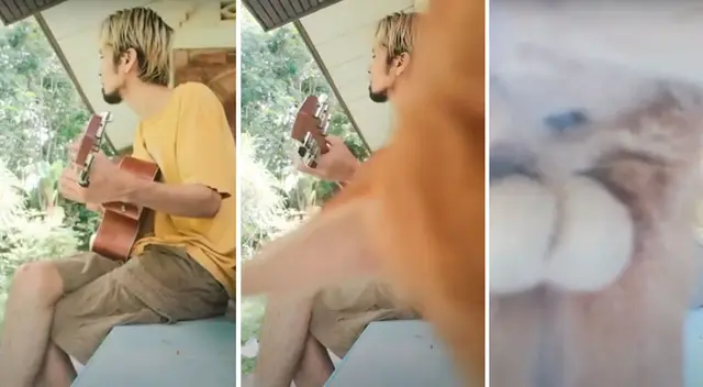 El gato se volvió protagonista de este video viral. El gato se volvió protagonista de este video viral.