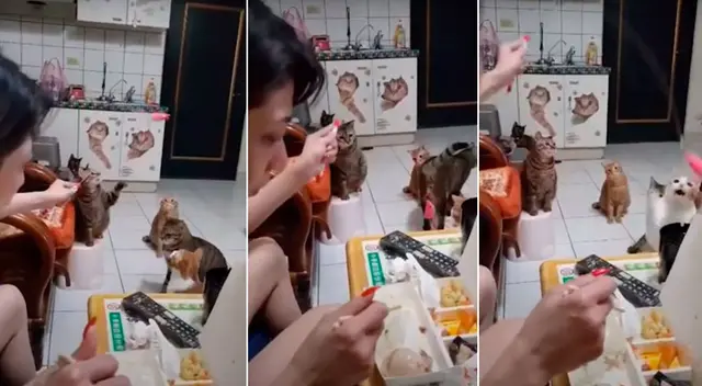 El singular truco de la mujer se ha viralizado en las redes sociales. El singular truco de la mujer se ha viralizado en las redes sociales.