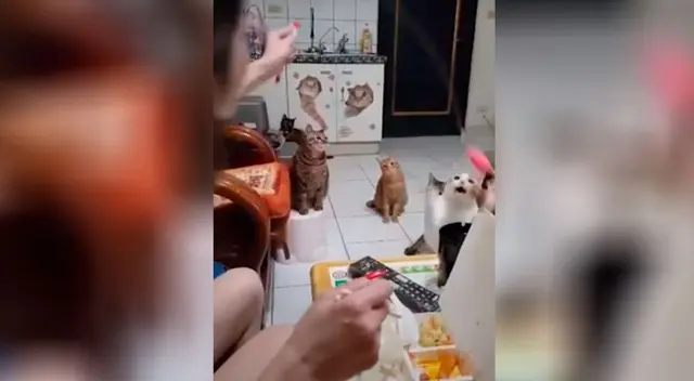 El singular truco de la mujer se ha viralizado en las redes sociales. El singular truco de la mujer se ha viralizado en las redes sociales.