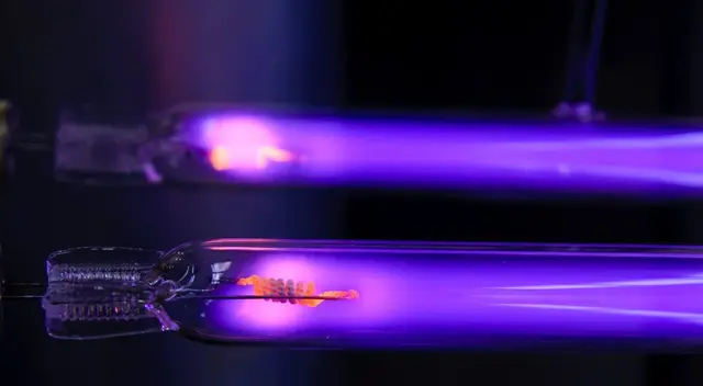 El estudio fue realizado por científicos de la Universidad de Boston, en Estados Unidos. El estudio fue realizado por científicos de la Universidad de Boston, en Estados Unidos.