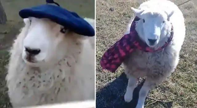 El emotivo reencuentro conmovió a miles de internautas en las redes sociales.