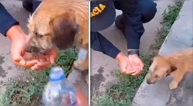 Mira el noble gesto del policía con un perrito.