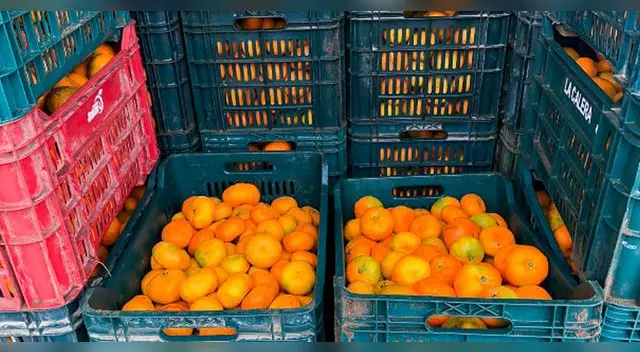 Dicha acción fue promovida por la Municipalidad de Lima. Dicha acción fue promovida por la Municipalidad de Lima.