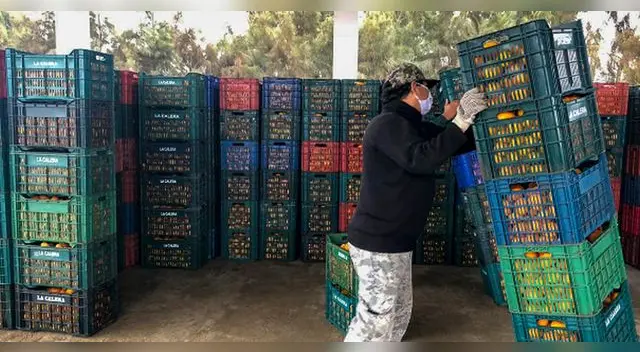 Dicha acción fue promovida por la Municipalidad de Lima. Dicha acción fue promovida por la Municipalidad de Lima.