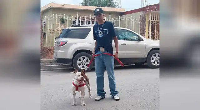 La curiosa respuesta de un joven para defender a su perro pitbull. La curiosa respuesta de un joven para defender a su perro pitbull.