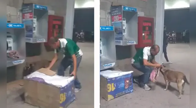 La emotiva escena se ha robado el corazón de miles de usuarios en las redes sociales. La emotiva escena se ha robado el corazón de miles de usuarios en las redes sociales.