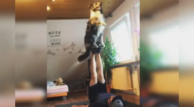 La escena causó el asombro de varios usuarios en las redes sociales.