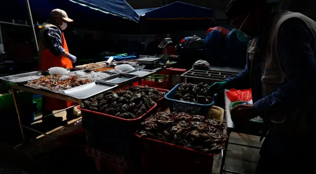 Terminal Pesquero presenta gran demanda. Terminal Pesquero presenta gran demanda.