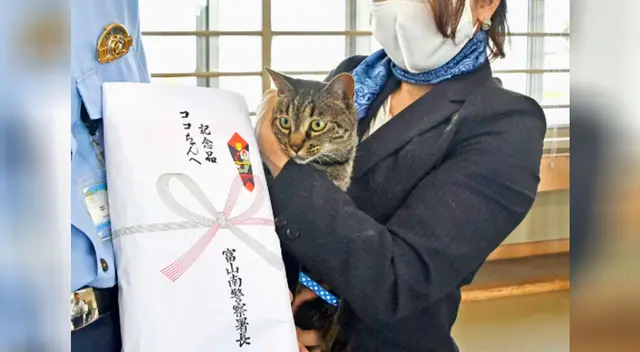Policía condecora a una gata por ayudar a rescatar a un anciano Policía condecora a una gata por ayudar a rescatar a un anciano