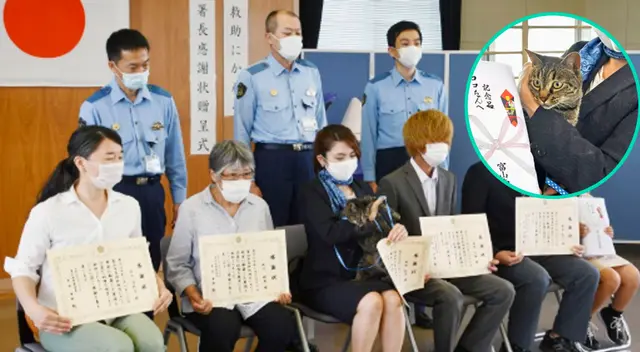 Policía condecora a una gata por ayudar a rescatar a un anciano Policía condecora a una gata por ayudar a rescatar a un anciano