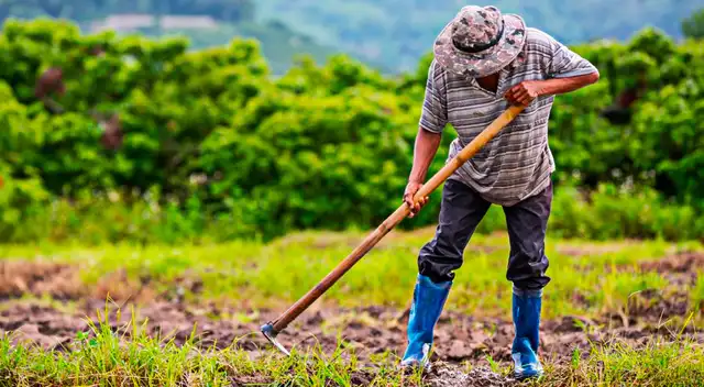 Martín Vizcarra agradece al sector agrícola Martín Vizcarra agradece al sector agrícola