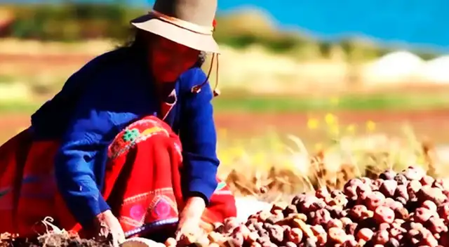 Martín Vizcarra agradece al sector agrícola Martín Vizcarra agradece al sector agrícola