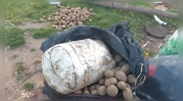 Droga iba ser enviada a Lima