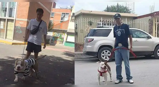 Un joven tuvo una simpática respuesta para defender a su perro pitbull de las personas que dicen que es agresivo. La historia se volvió viral en Facebook. Un joven tuvo una simpática respuesta para defender a su perro pitbull de las personas que dicen que es agresivo. La historia se volvió viral en Facebook.