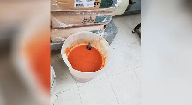 Descubren que ratas “nadaban” en la salsa de tomate de reconocida pizzería Descubren que ratas “nadaban” en la salsa de tomate de reconocida pizzería