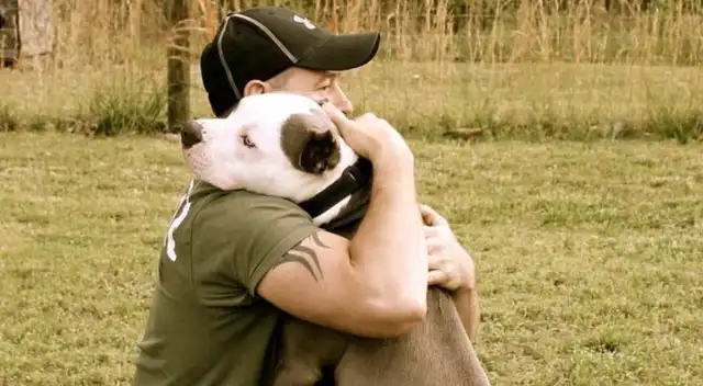 Dueño del cachorro se volvió viral en Facebook debido a la hilarante respuesta que tuvo con los vecinos de su distrito que por temor al pitbull se alejaron de él. Dueño del cachorro se volvió viral en Facebook debido a la hilarante respuesta que tuvo con los vecinos de su distrito que por temor al pitbull se alejaron de él.